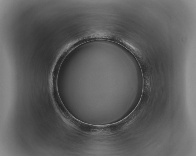 X0000113080678200909041129