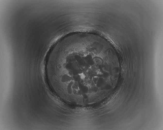 X0000113080679200909041129