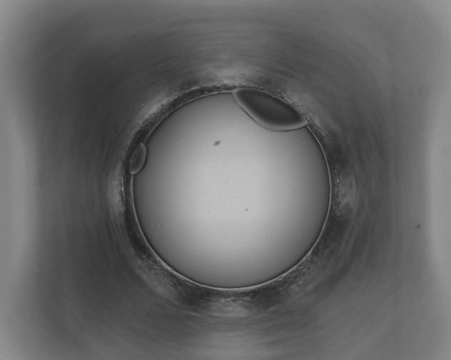 X0000113080680200909041129