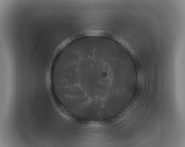 X0000113080682200909041129