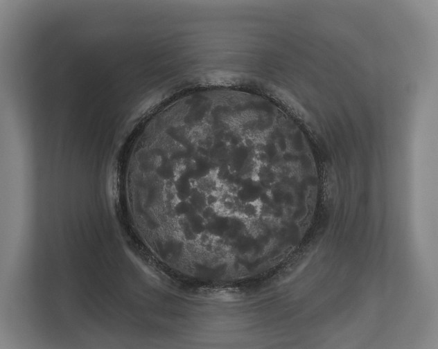 X0000113080683200909041129