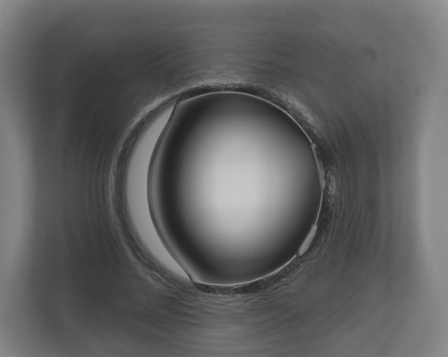 X0000113080684200909041129