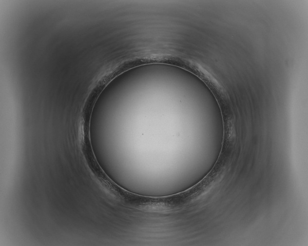 X0000113080685200909041129