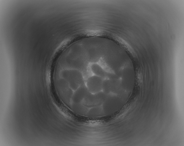 X0000113080686200909041129