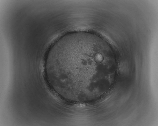 X0000113080687200909041129