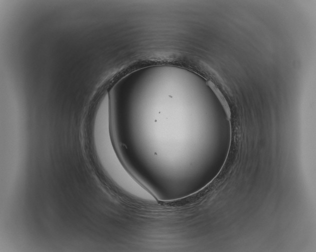 X0000113080688200909041129