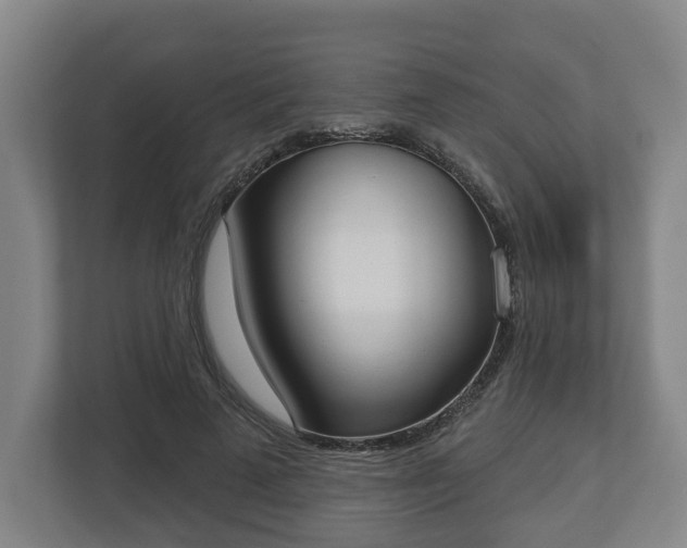 X0000113080689200909041129