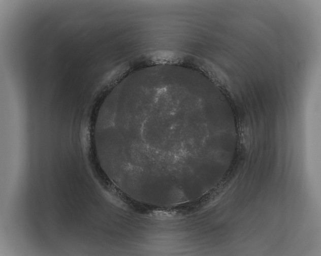 X0000113080690200909041129