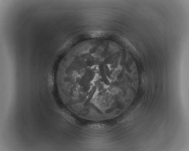 X0000113080691200909041129