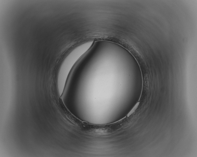 X0000113080692200909041129