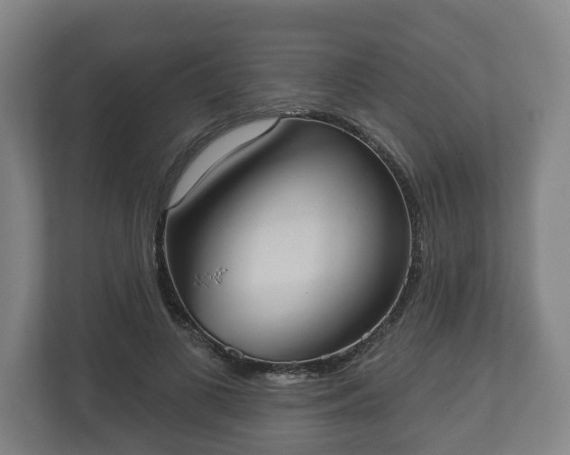 X0000113080693200909041129