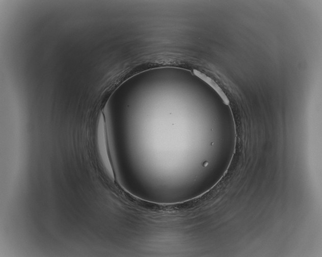 X0000113080696200909041129