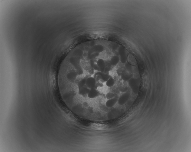 X0000113080699200909041129