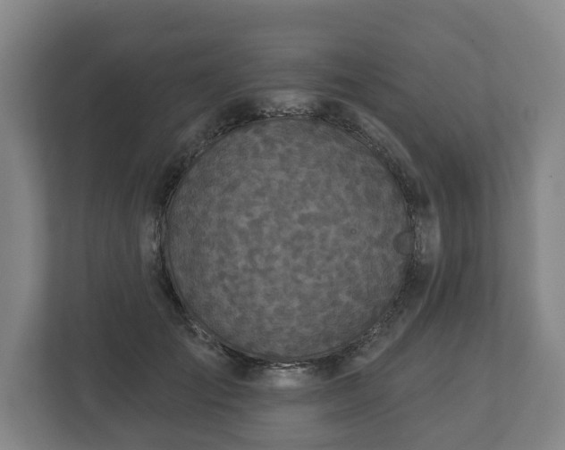 X0000113080701200909041129