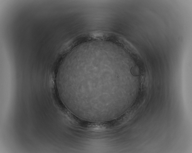 X0000113080702200909041129