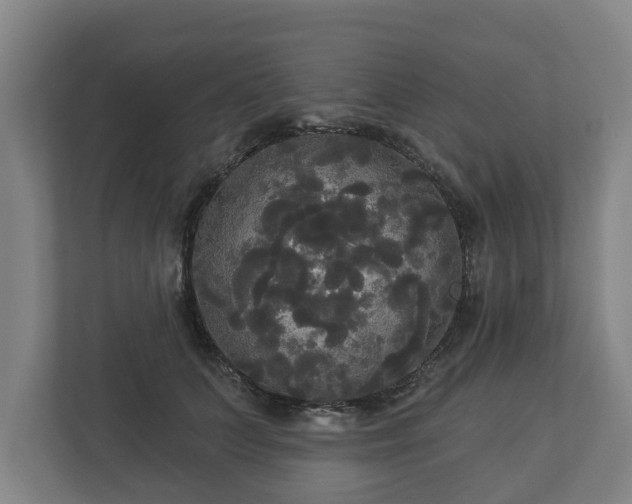 X0000113080703200909041129