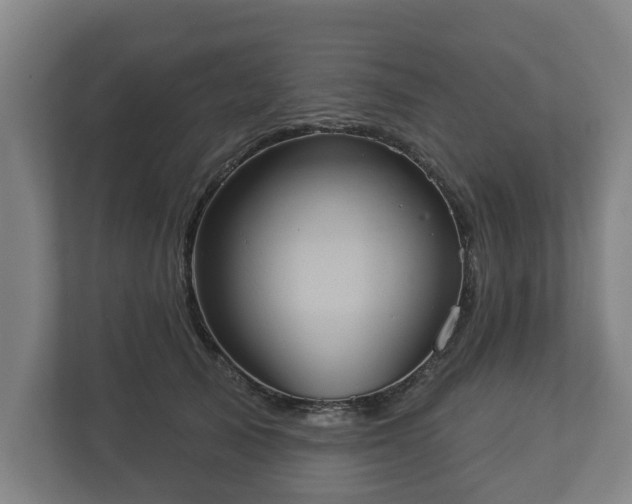 X0000113080705200909041129