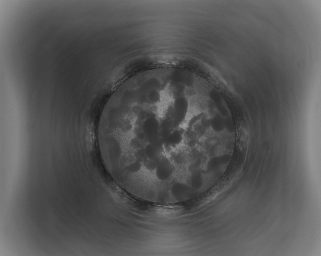 X0000113080707200909041129