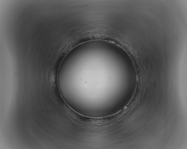 X0000113080709200909041129