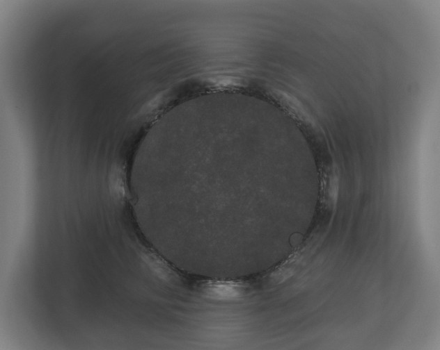 X0000113080710200909041129