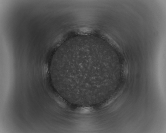 X0000113080711200909041129