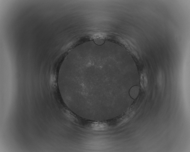 X0000113080714200909041129