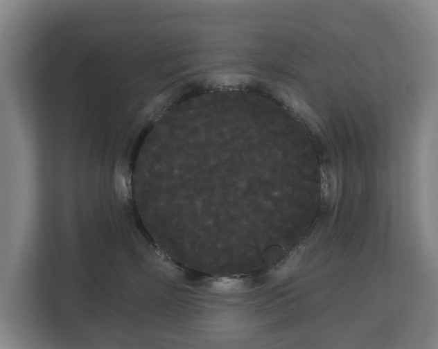 X0000113080718200909041129