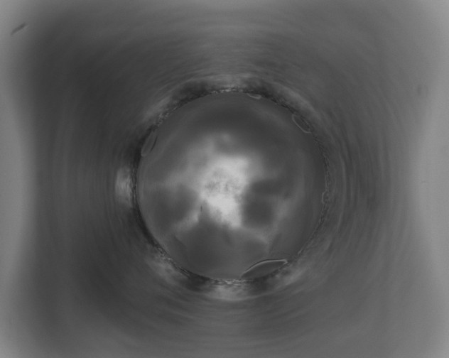 X0000113080720200909041129