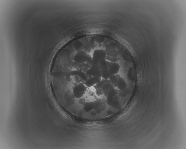 X0000113080721200909041128