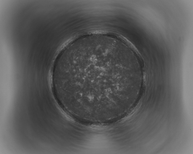 X0000113080725200909041128