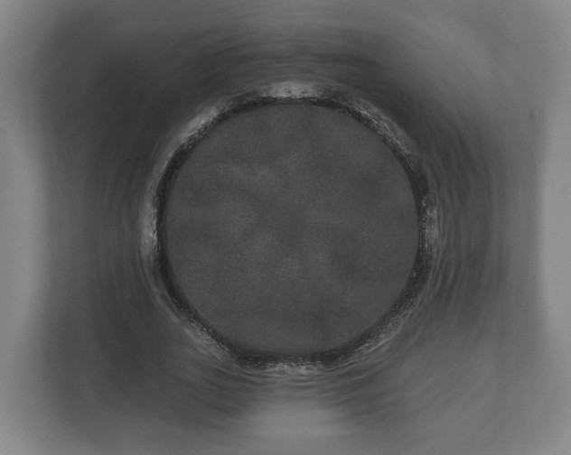 X0000113080727200909041128