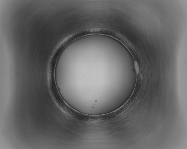 X0000113080728200909041128