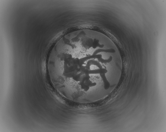 X0000113080729200909041128