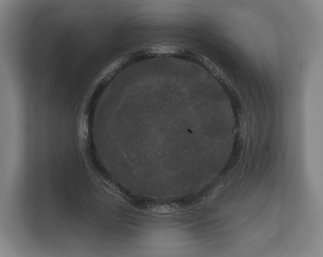 X0000113080731200909041128