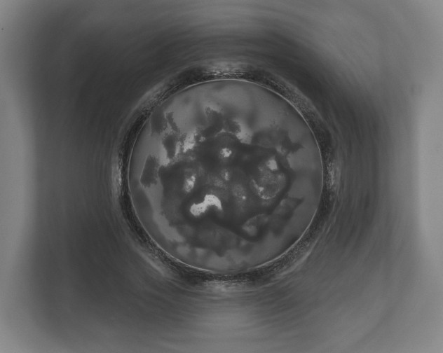 X0000113080733200909041128