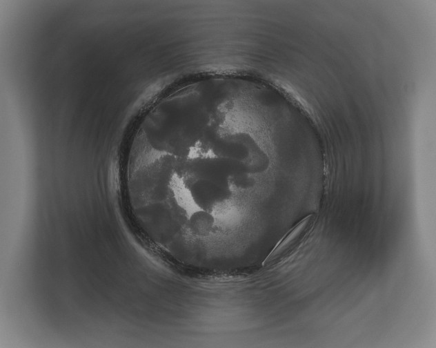 X0000113080734200909041128