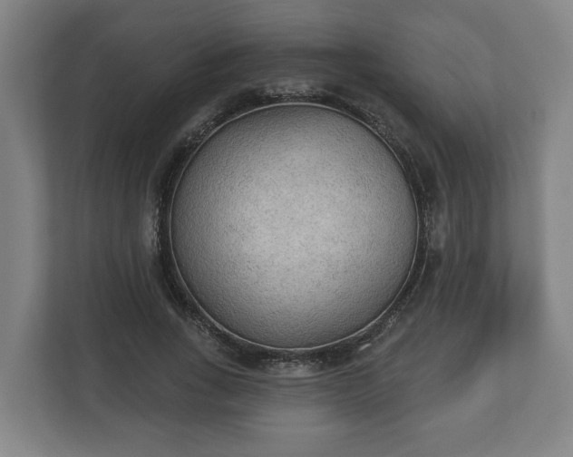 X0000113080735200909041128