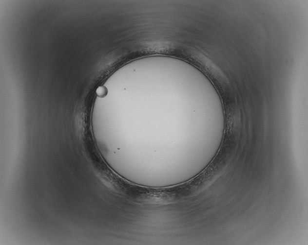 X0000113080736200909041128