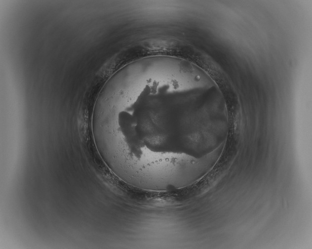 X0000113080737200909041128