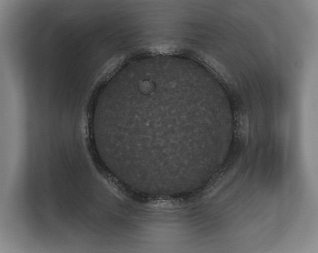 X0000113080738200909041128