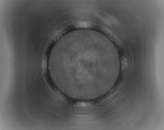 X0000113080739200909041128