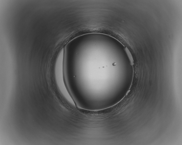 X0000113080740200909041128