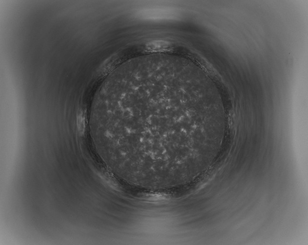 X0000113080741200909041128