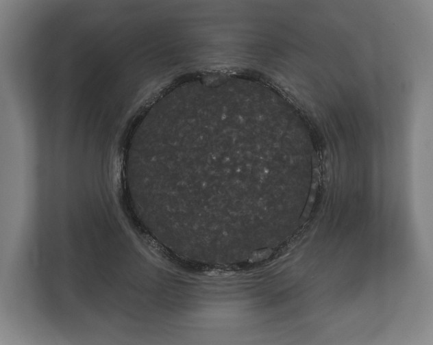 X0000113080742200909041128