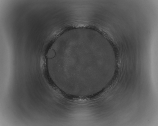 X0000113080743200909041128