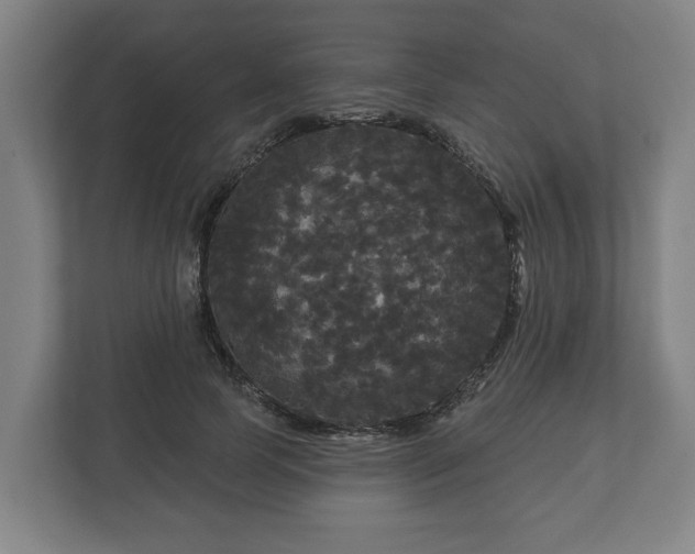 X0000113080745200909041128