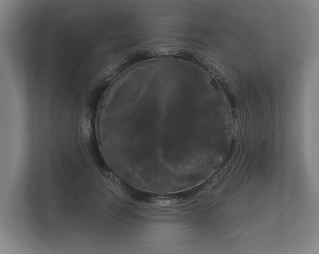 X0000113080746200909041128