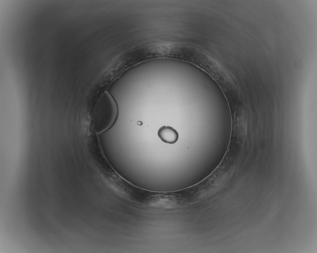 X0000113080750200909041128