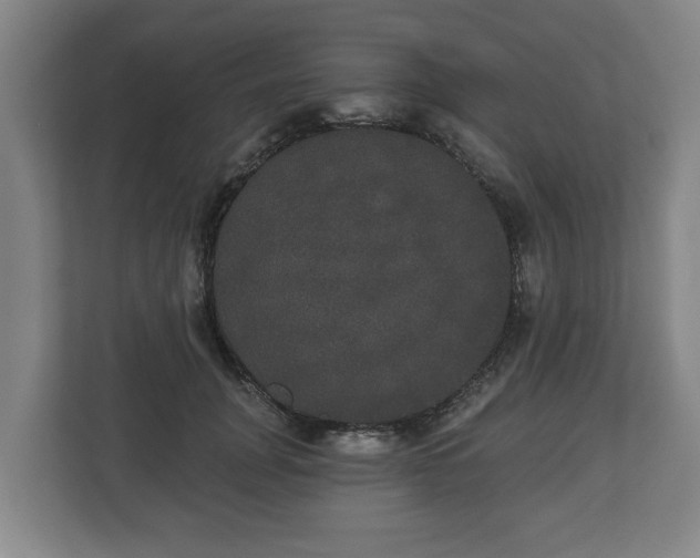 X0000113080751200909041128