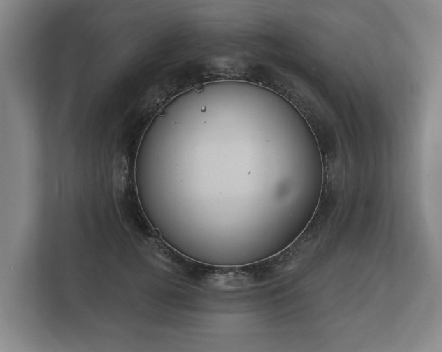 X0000113080752200909041128